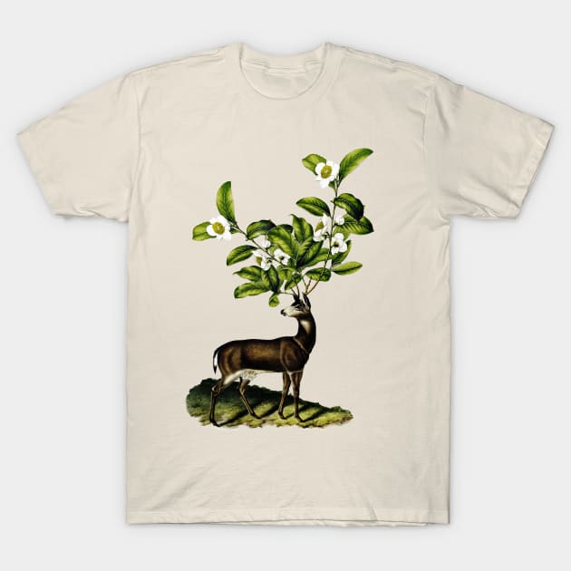 Deer with camellias T-Shirt by hardcore repertoire